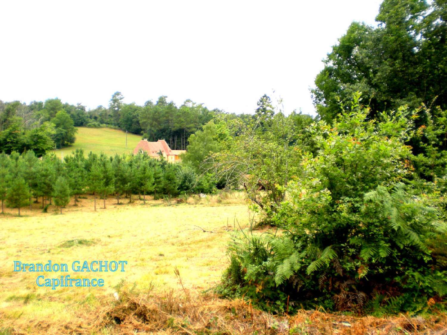  kaufen Grundstück Campsegret Dordogne 5