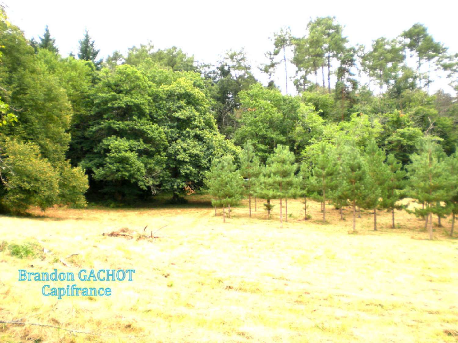  kaufen Grundstück Campsegret Dordogne 4
