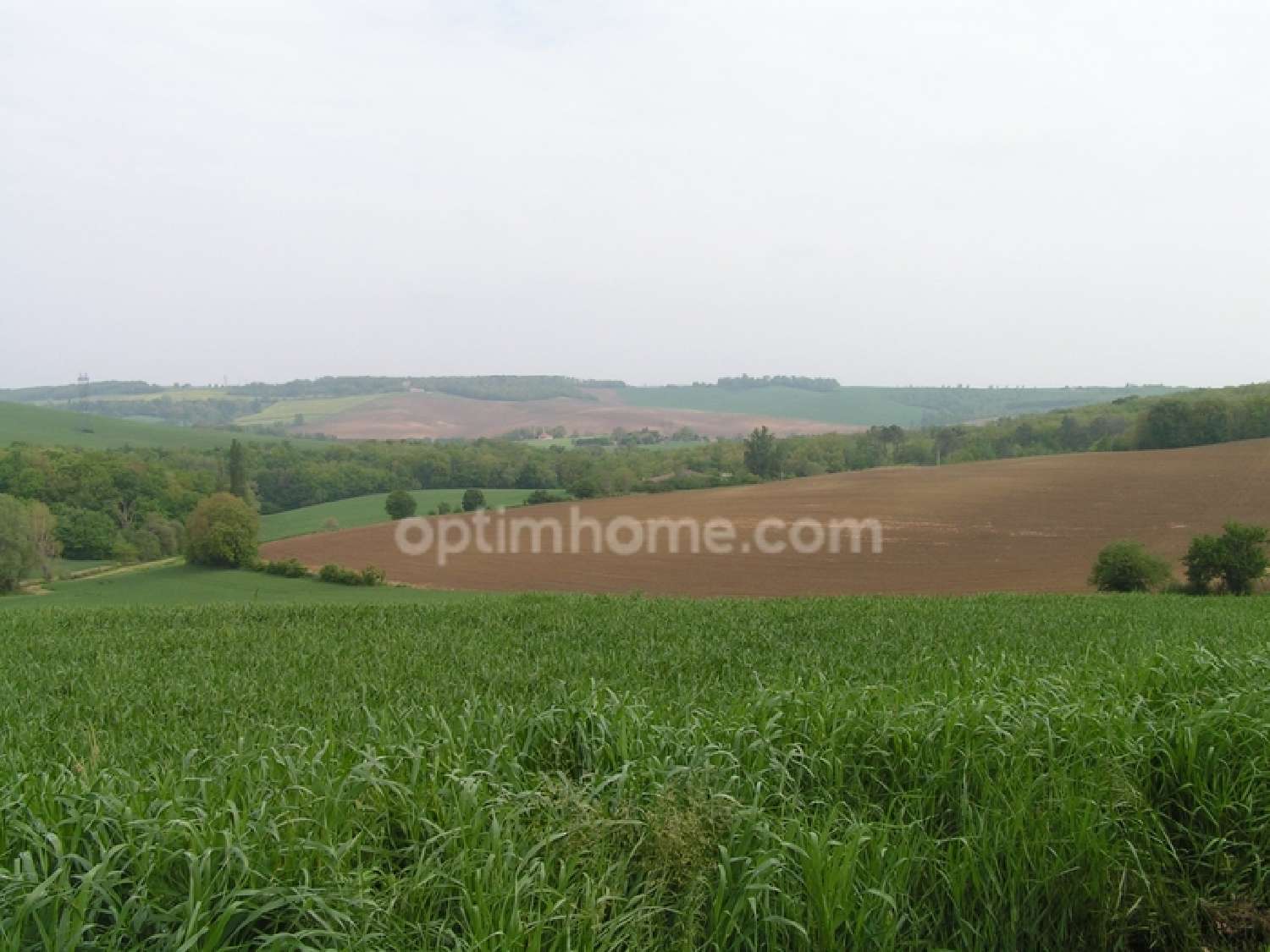  kaufen Grundstück Lévignac Haute-Garonne 2