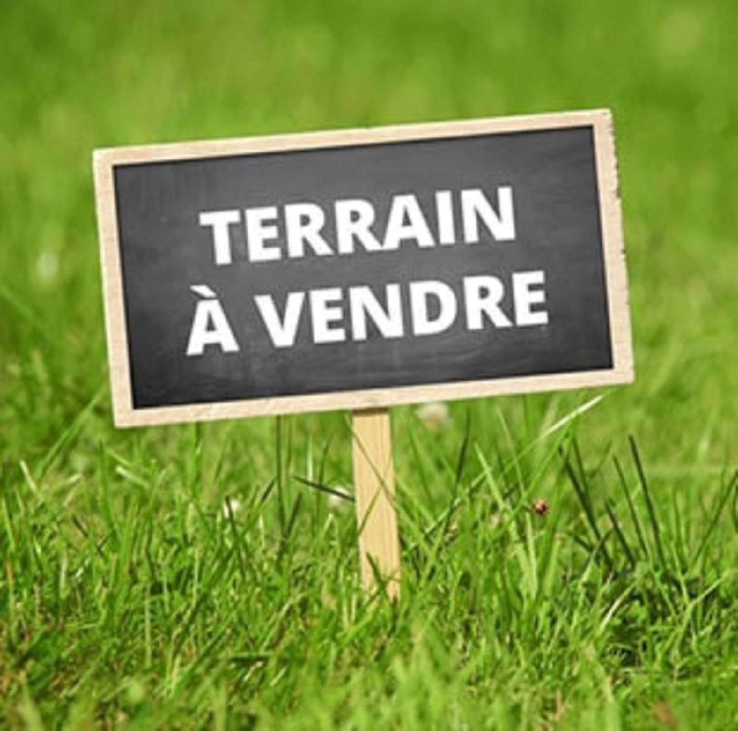  for sale terrain Béganne Morbihan 1