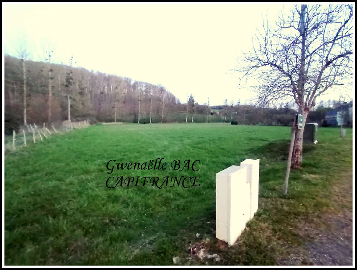  kaufen Grundstück Courdemanche Sarthe 2