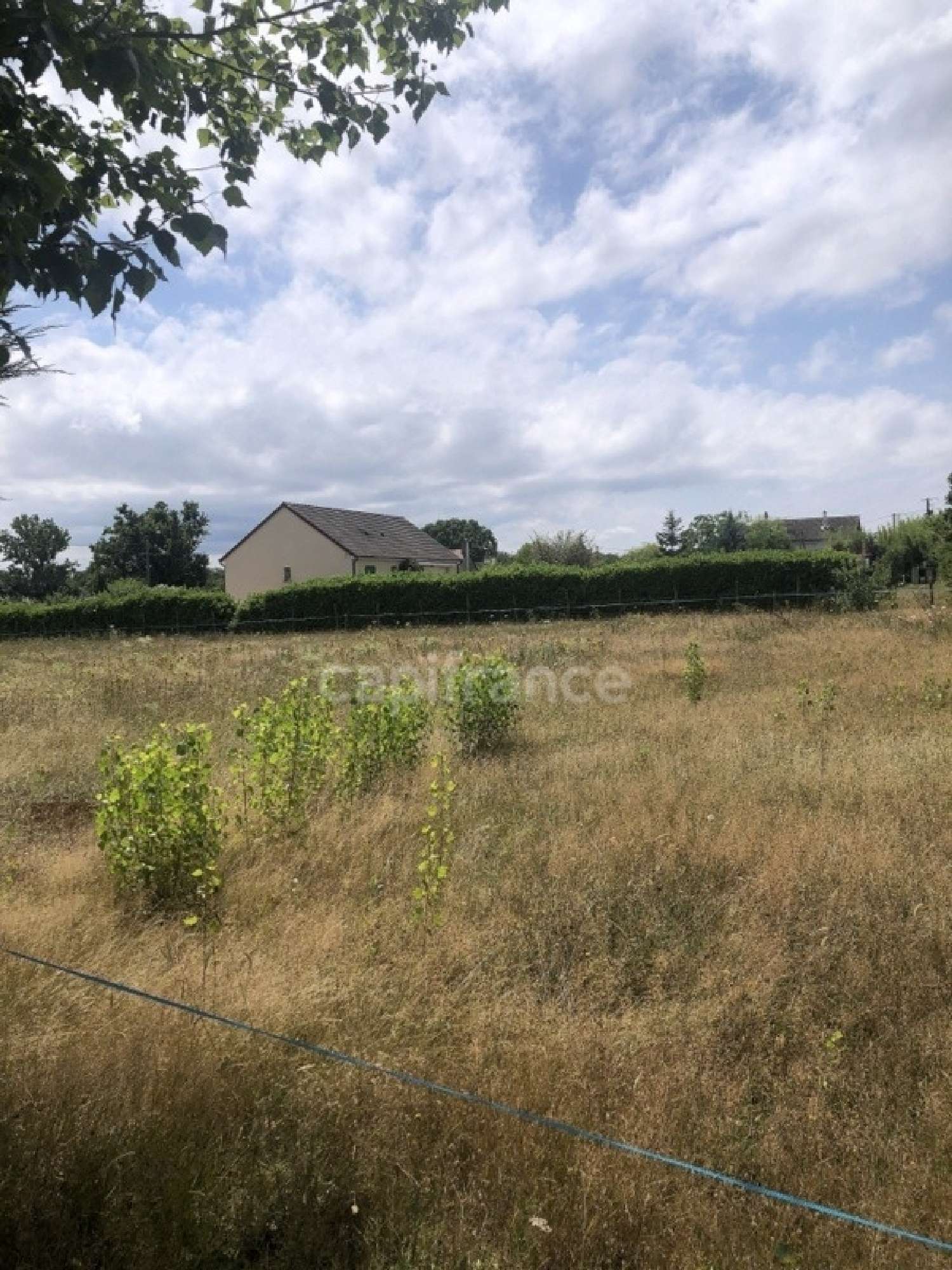  kaufen Grundstück Monétay-sur-Allier Allier 3