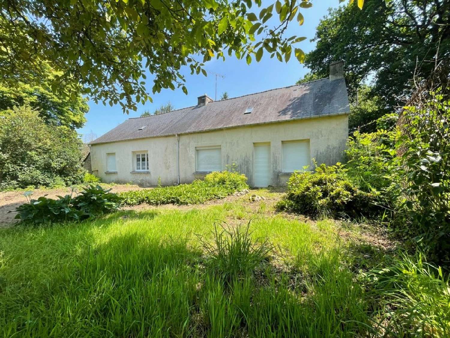  for sale house Plouray Morbihan 4