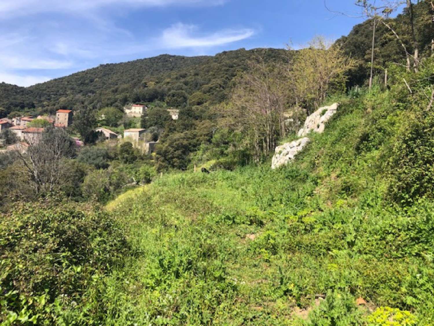  for sale terrain Albitreccia Corse-du-Sud 4