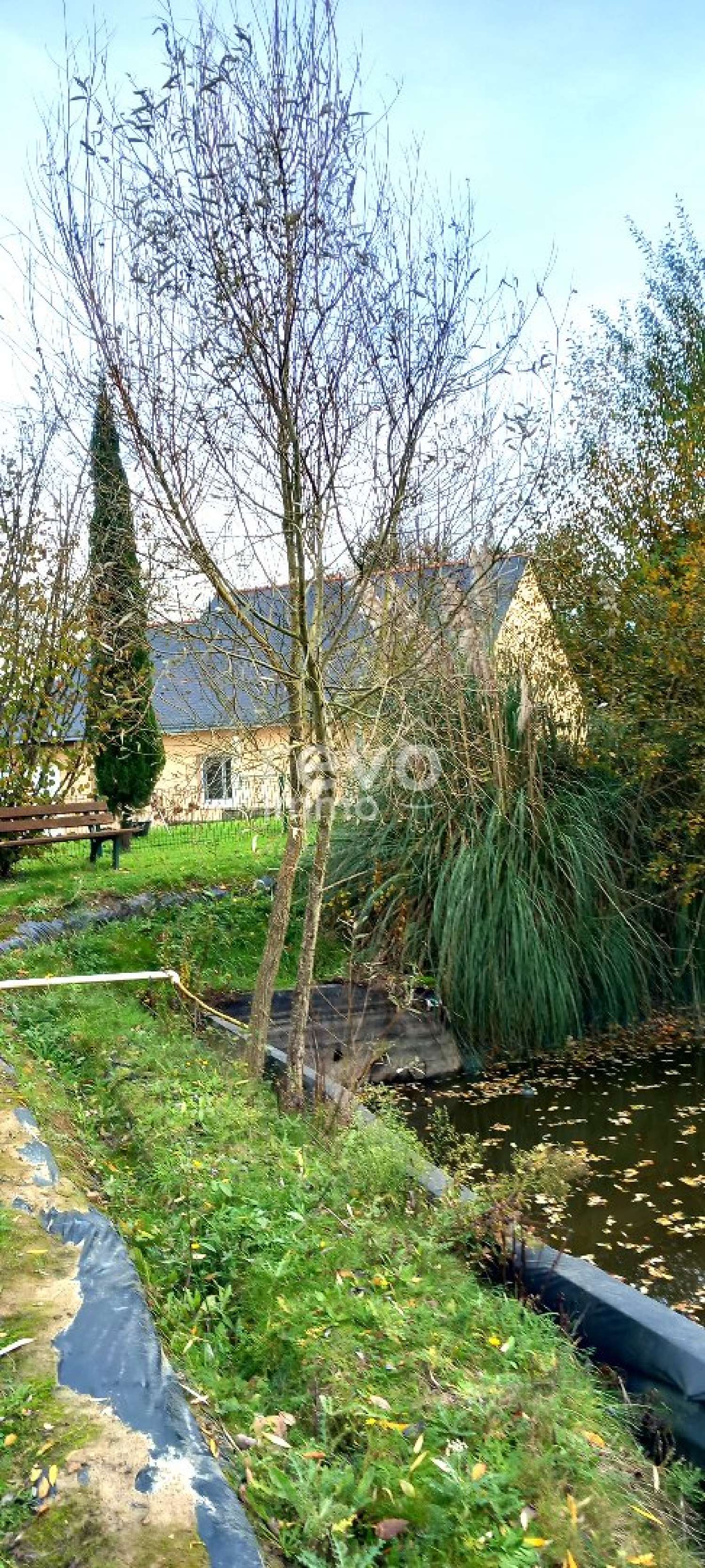  kaufen Haus Châteauneuf-sur-Sarthe Maine-et-Loire 7