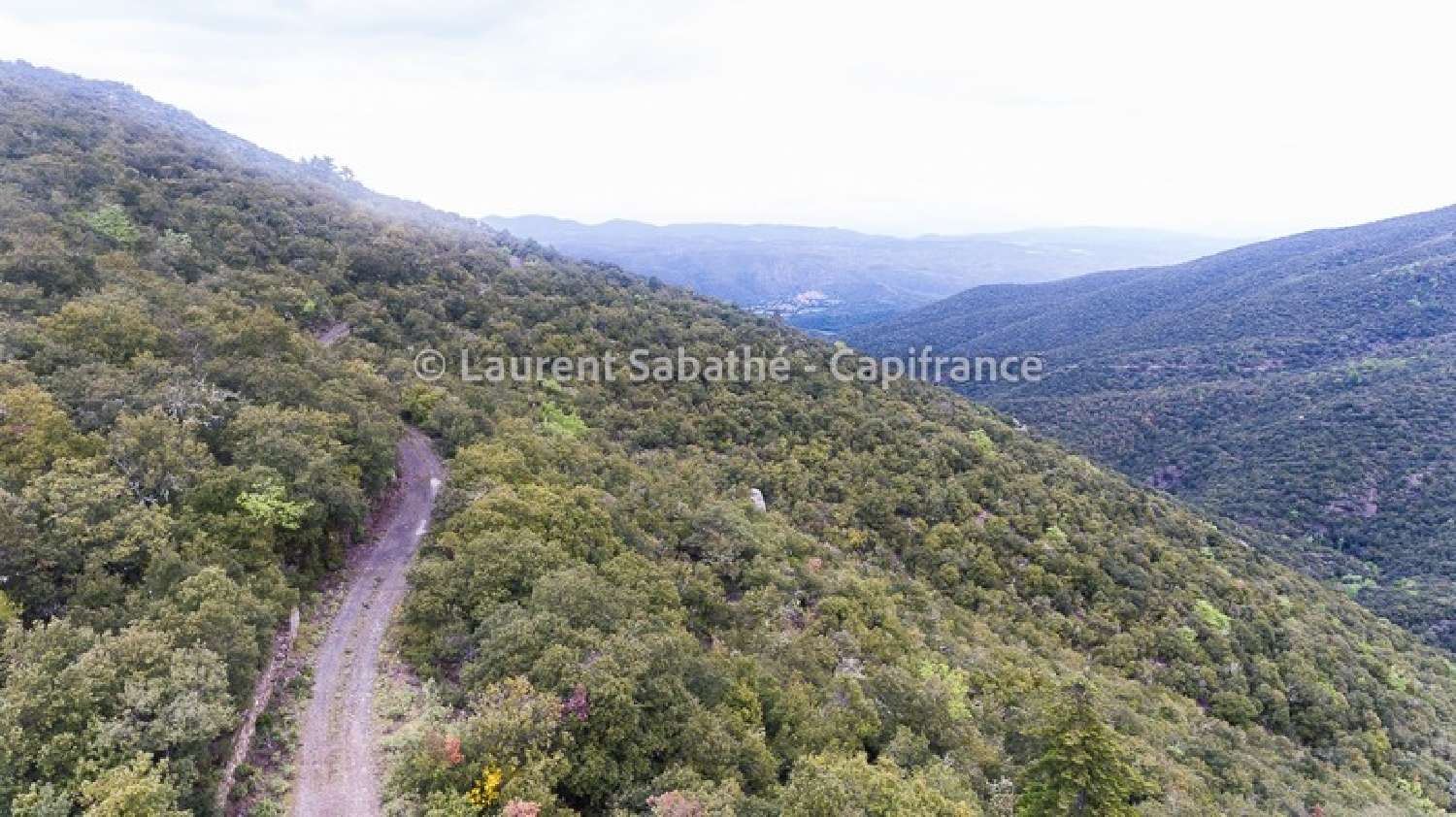  for sale terrain Glorianes Pyrénées-Orientales 7