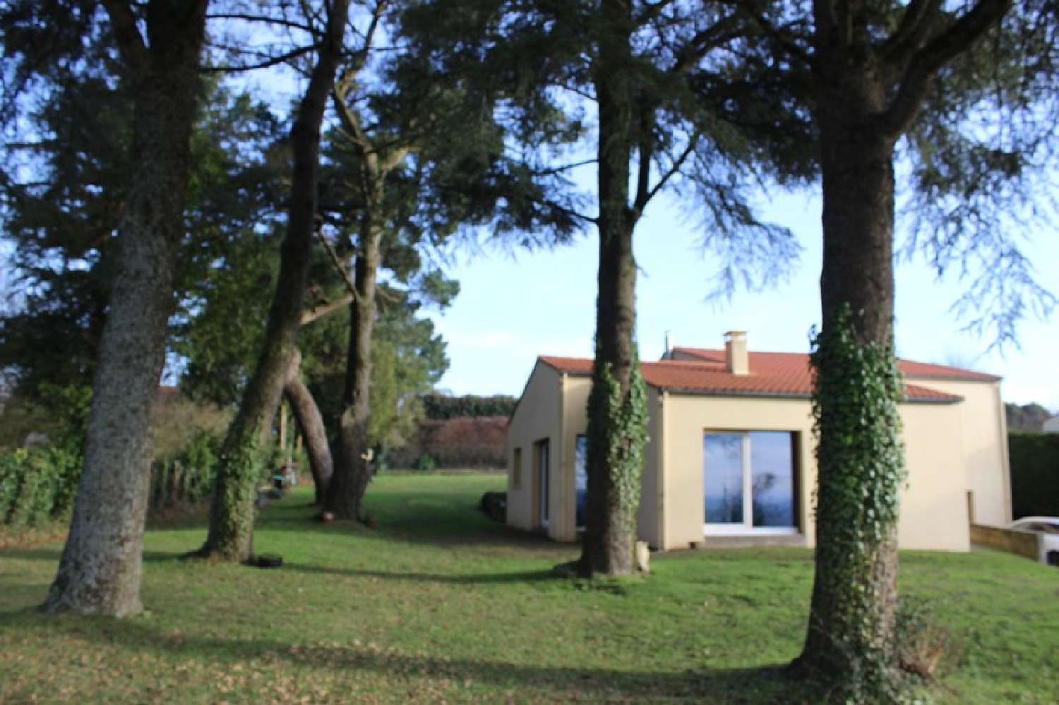 Mortagne-sur-Sèvre Vendée Haus Bild 6785920