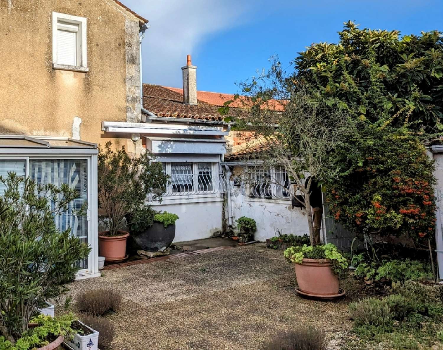  kaufen Haus Segonzac Charente 1