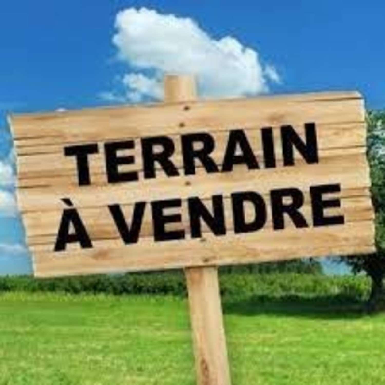  for sale terrain Saint-Aubin Jura 1