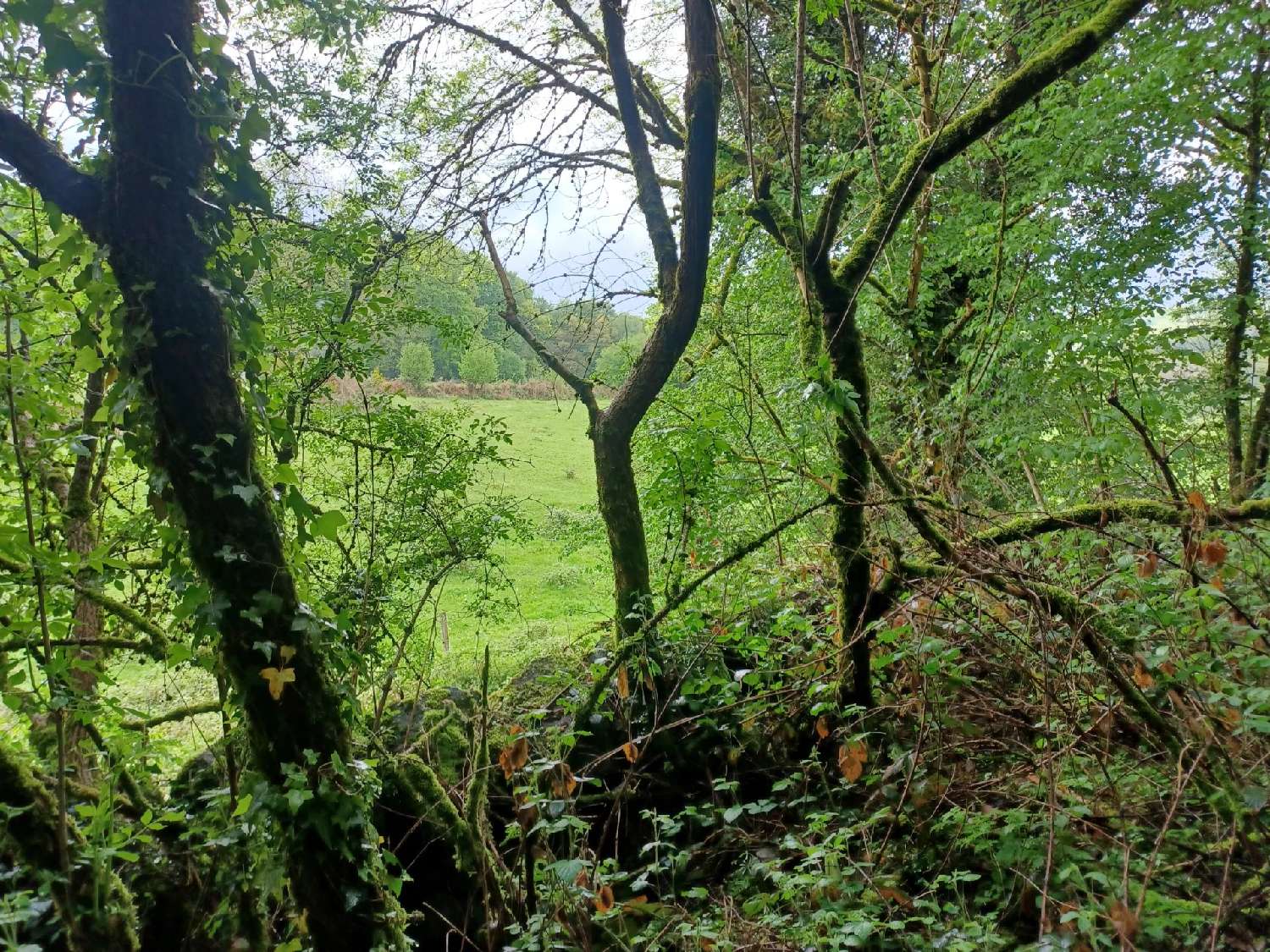 huis te koop Ahun, Creuse ( Nouvelle-Aquitaine) foto 7