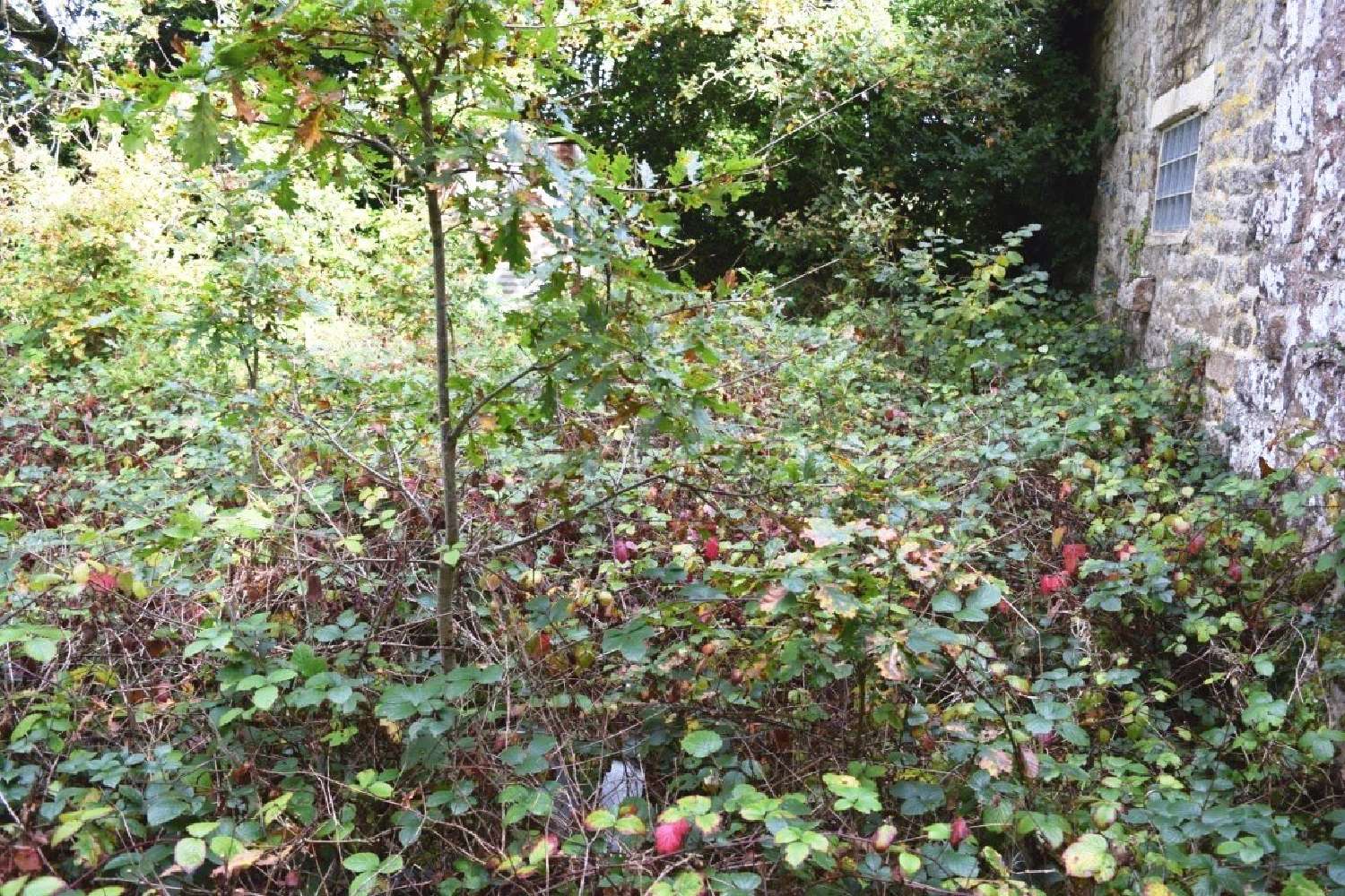  kaufen Haus Bubry Morbihan 6