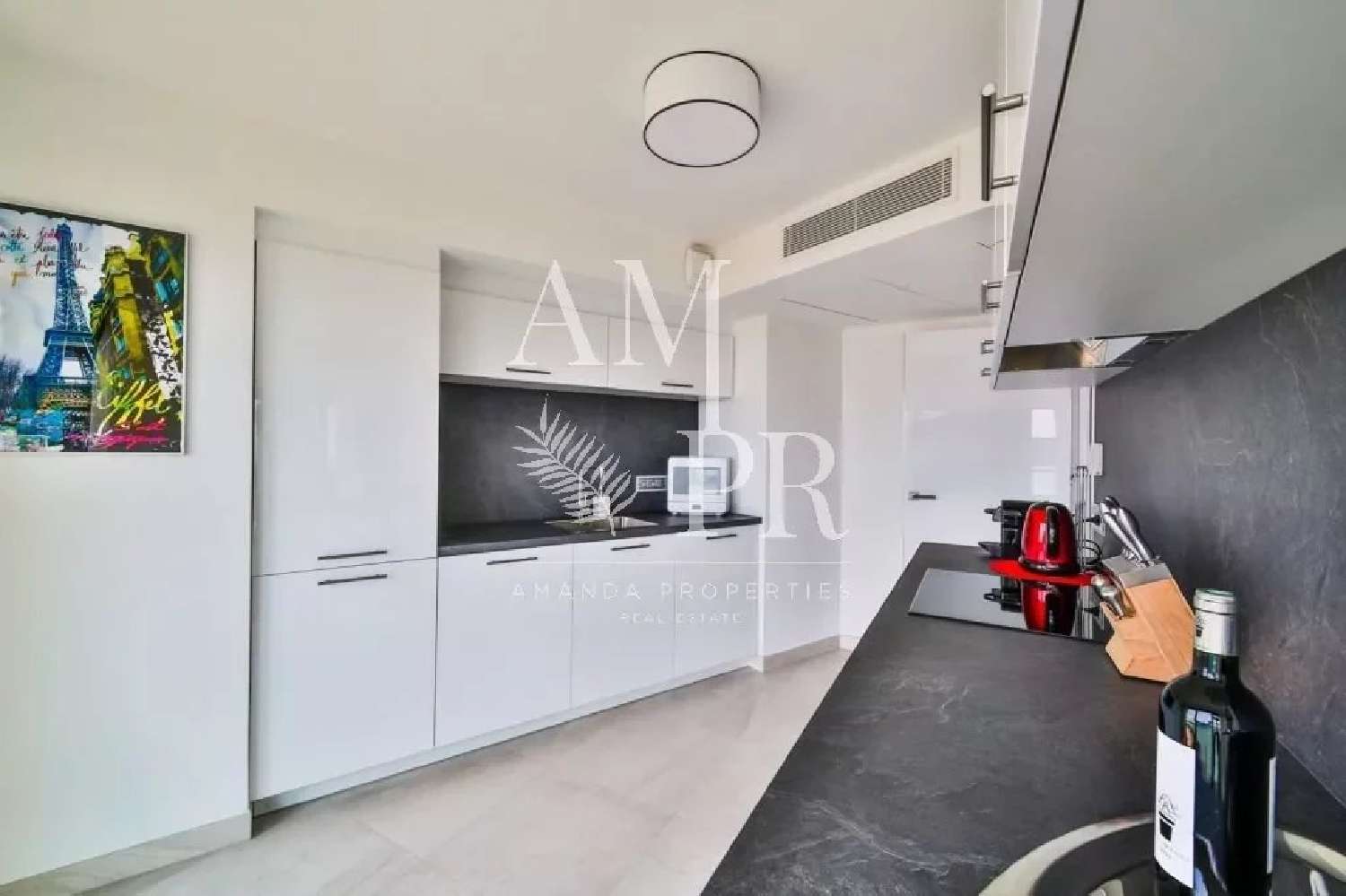 kaufen Haus Cannes Alpes-Maritimes 2