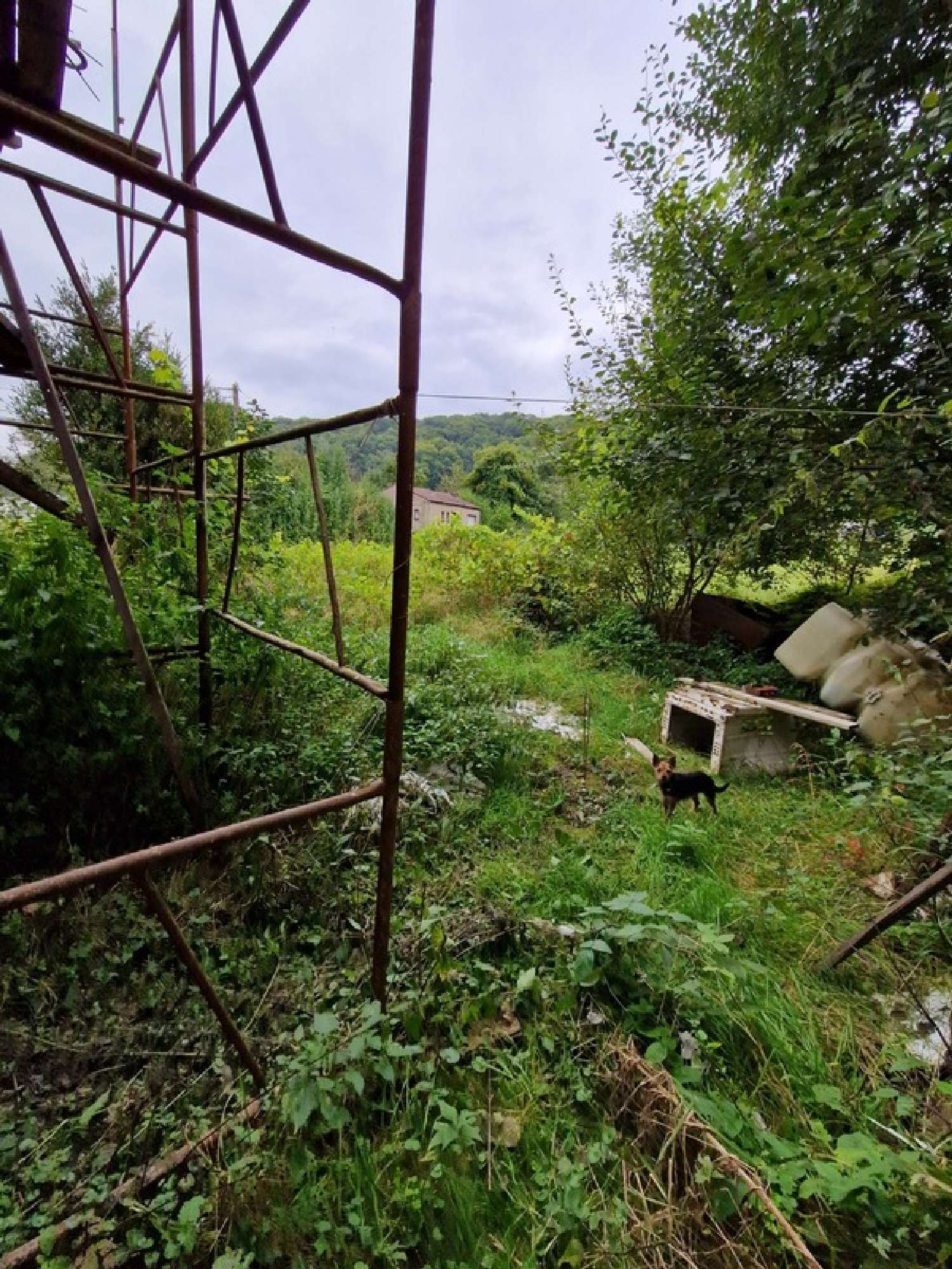 kaufen Haus Dalem Moselle 2