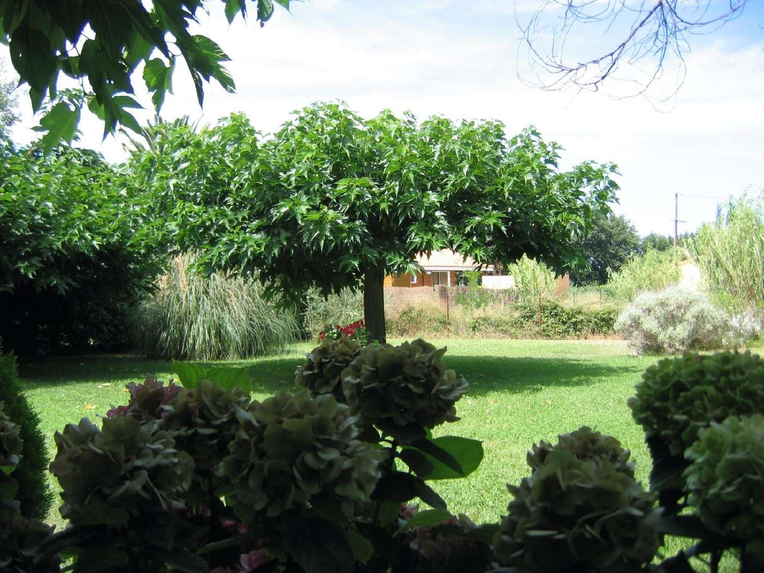  kaufen Haus Saint-Estève Pyrénées-Orientales 1