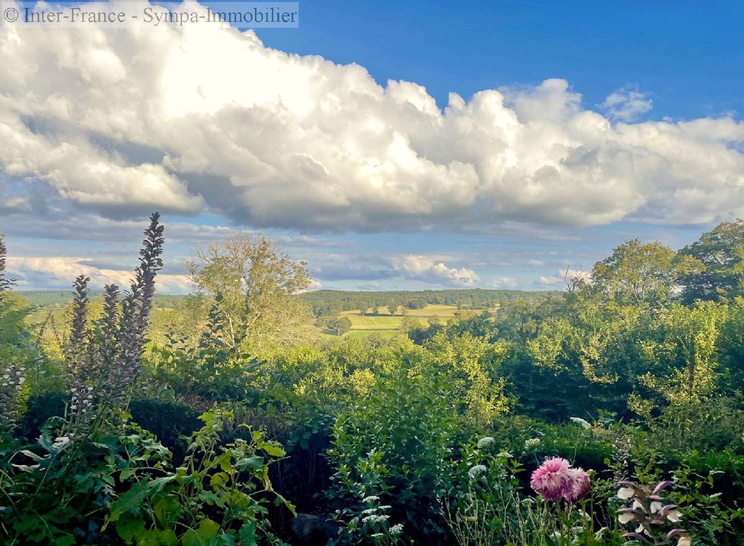 huis te koop Saint-Fargeol, Allier ( Auvergne-Rhône-Alpes) foto 12