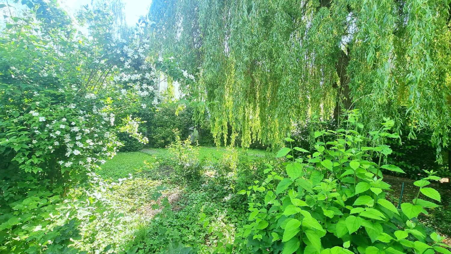  kaufen Haus Thionville Moselle 5