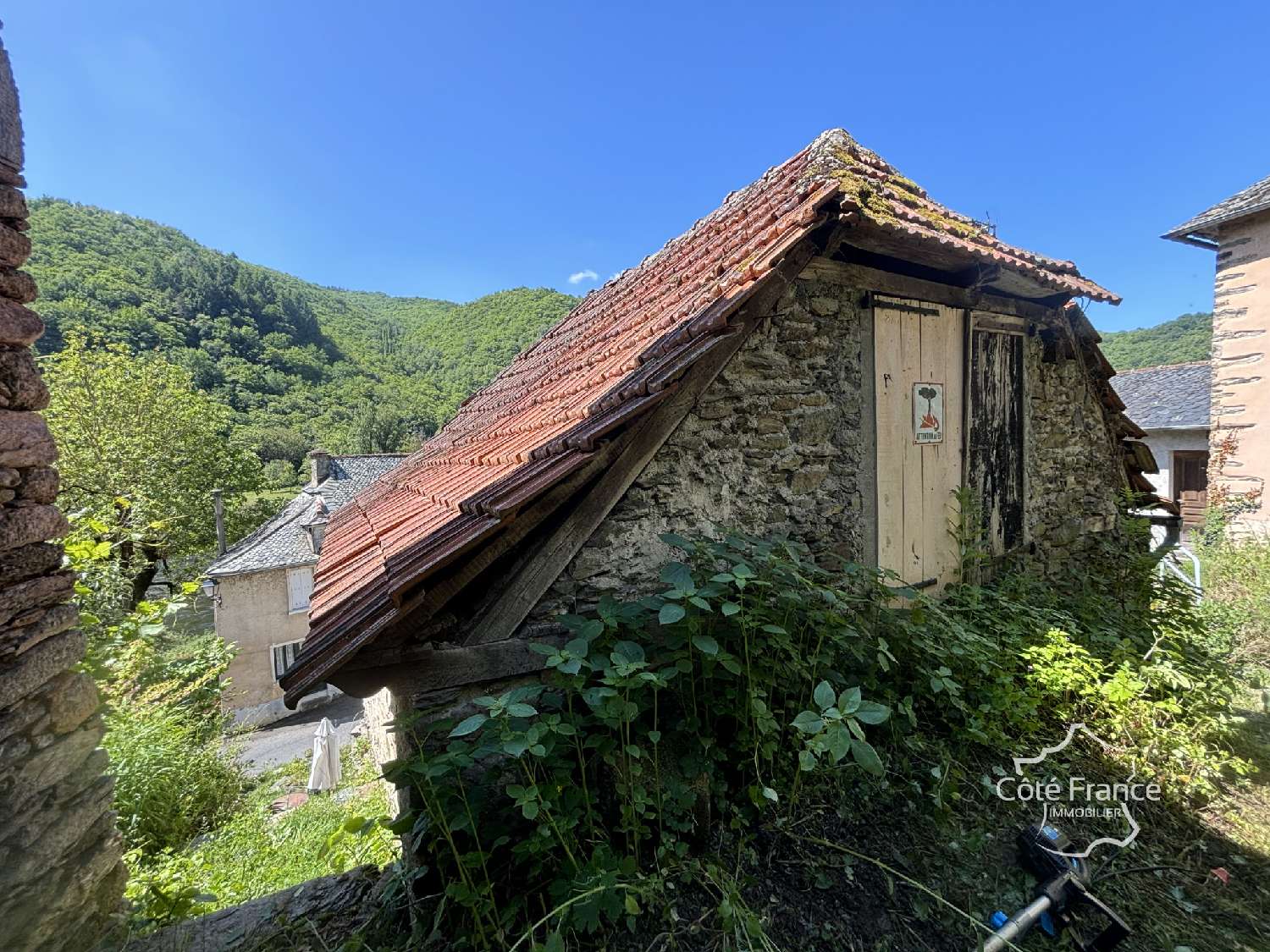  kaufen Haus Vieillevie Cantal 7
