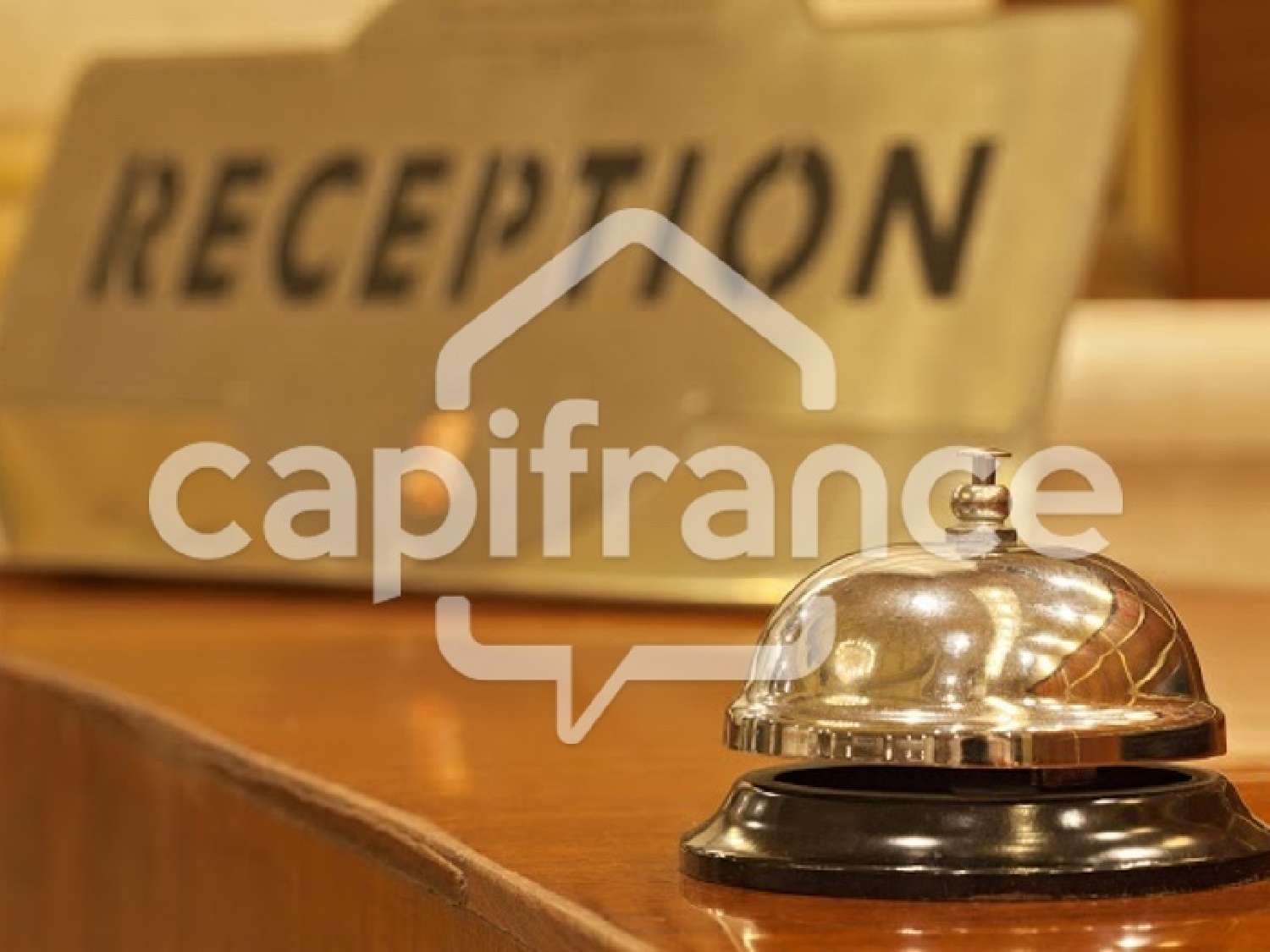 kaufen Restaurant Lourdes Hautes-Pyrénées 1