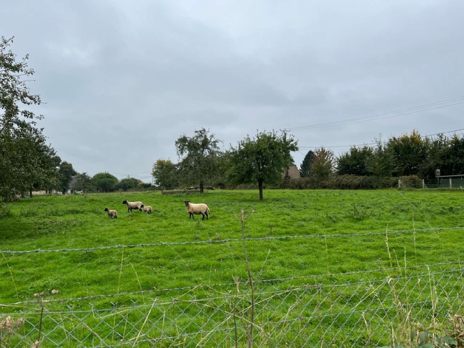 Bosc-le-Hard Seine-Maritime terrain foto 6977890