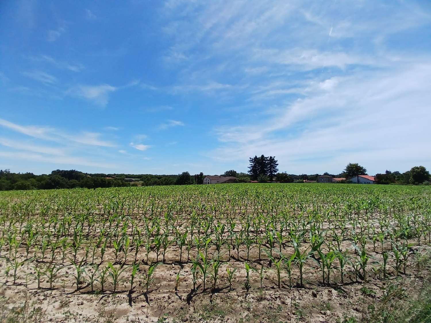 Mugron Landes terrein foto 6977143