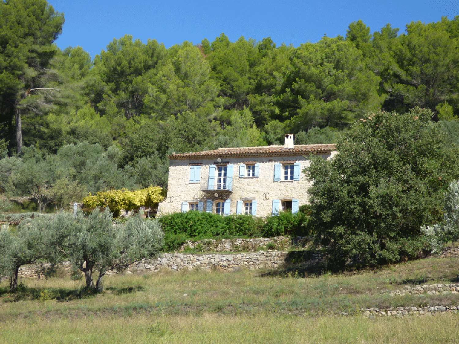  kaufen Villa Callas Var 1