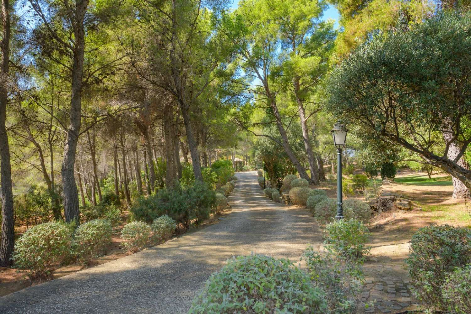  kaufen Villa Ceyreste Bouches-du-Rhône 7
