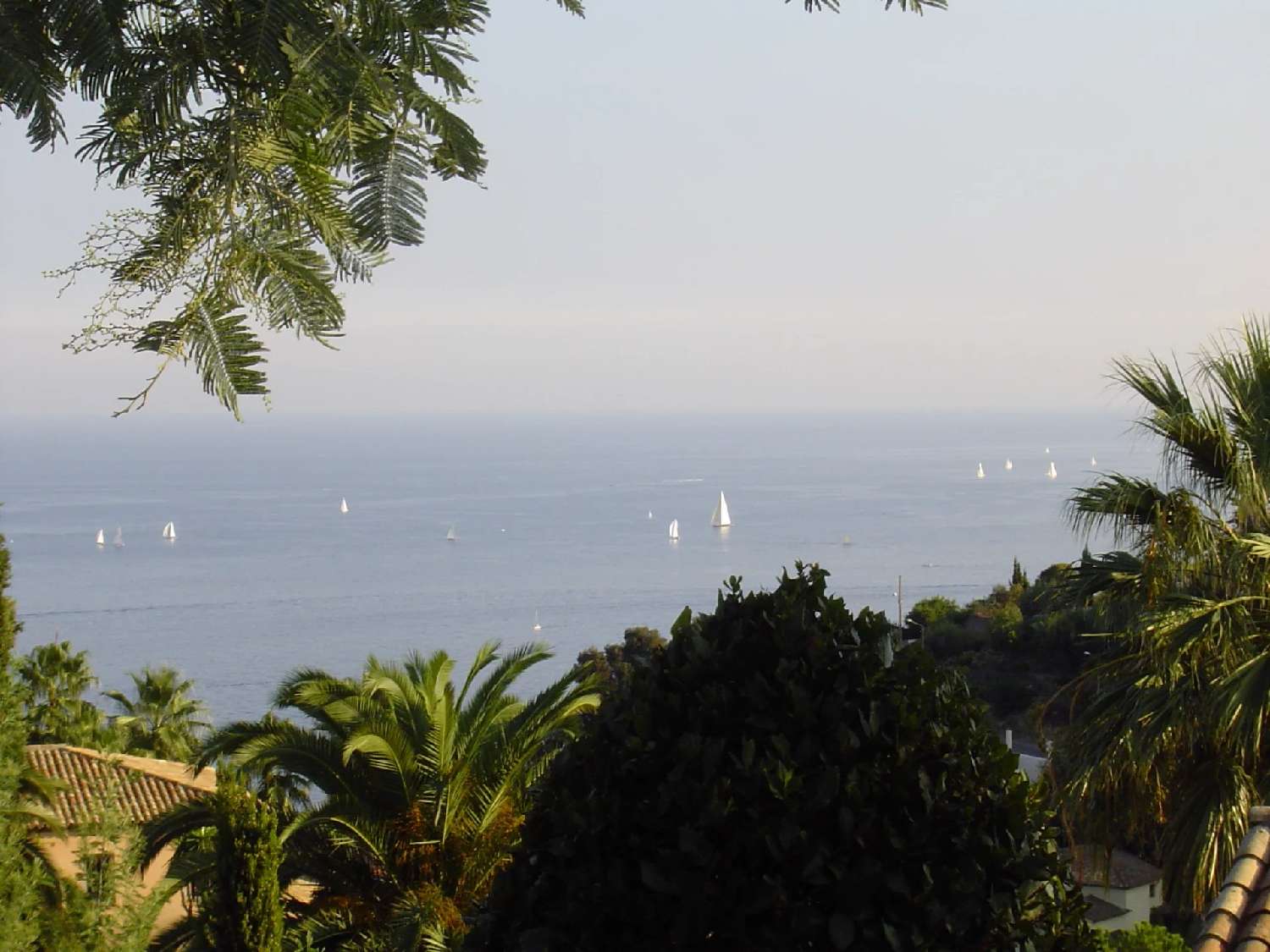  kaufen Villa Vallauris Alpes-Maritimes 7