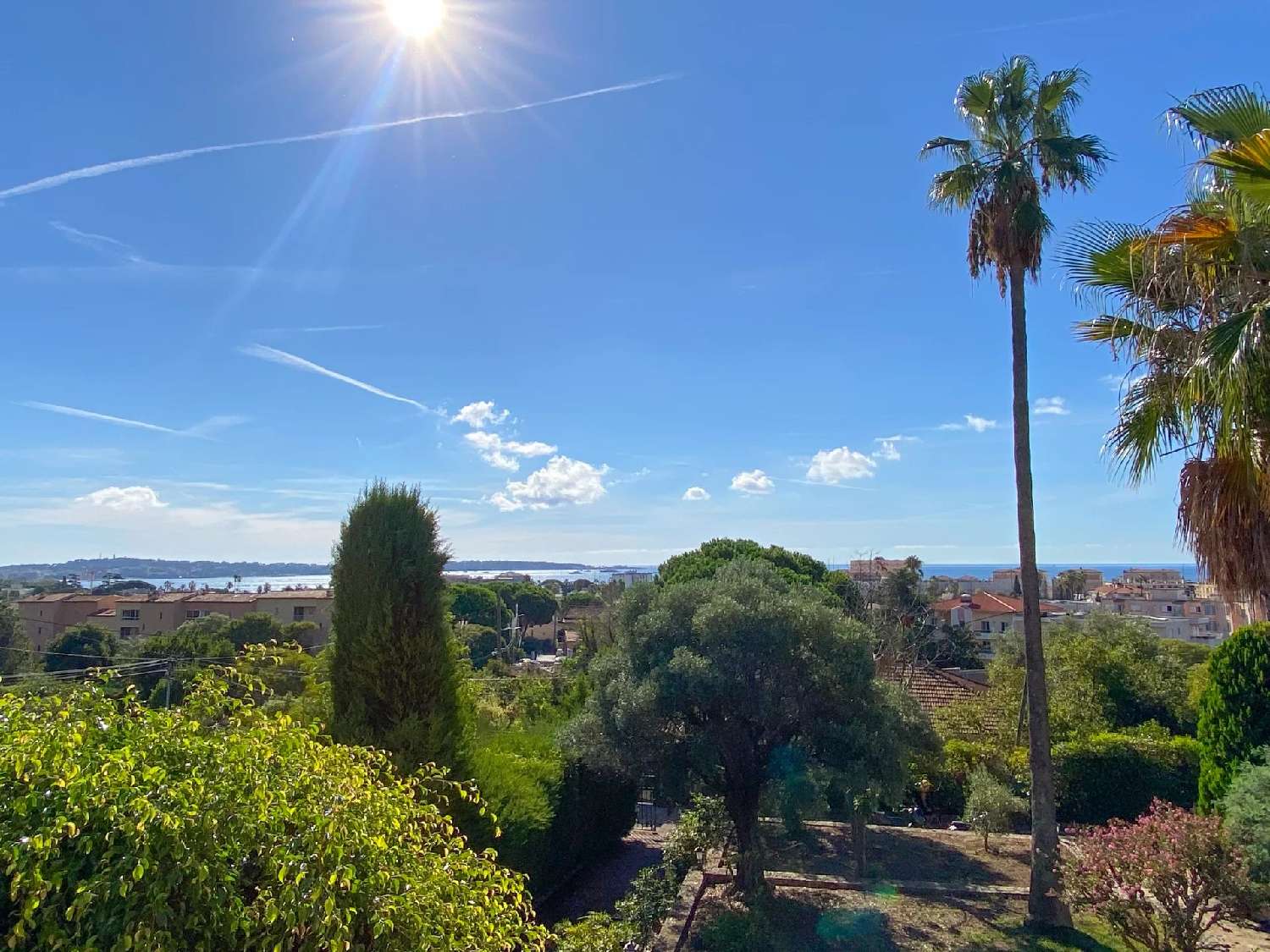  kaufen Villa Vallauris Alpes-Maritimes 3