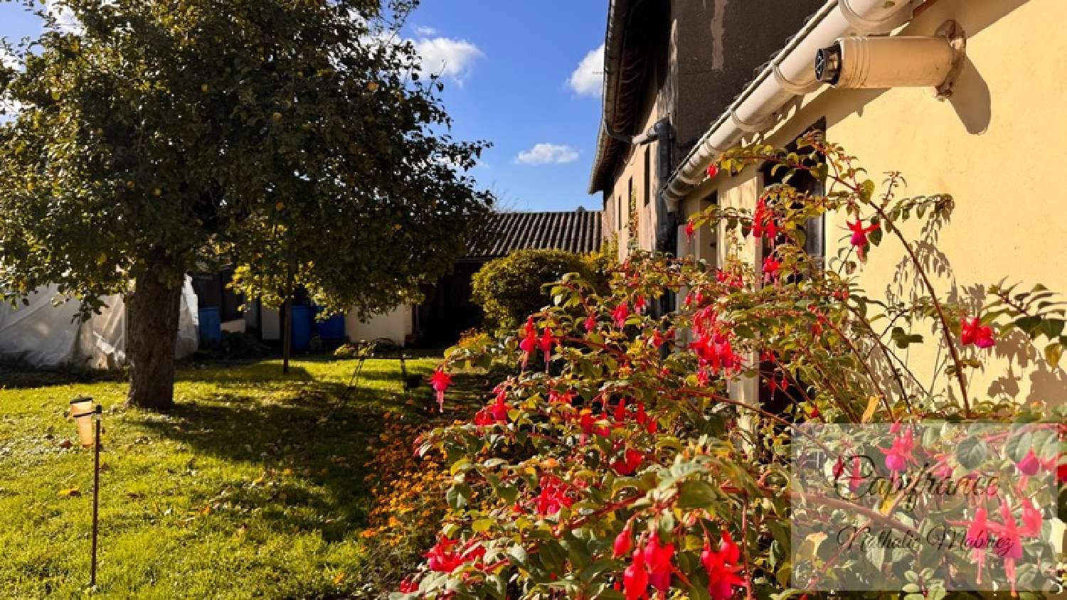  kaufen Stadthaus Verton Pas-de-Calais 8