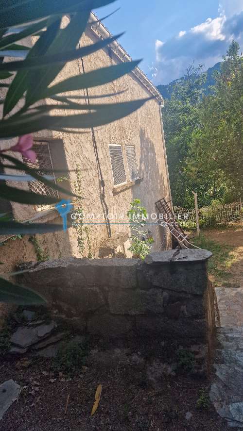  à vendre maison Ghisoni Haute-Corse 2