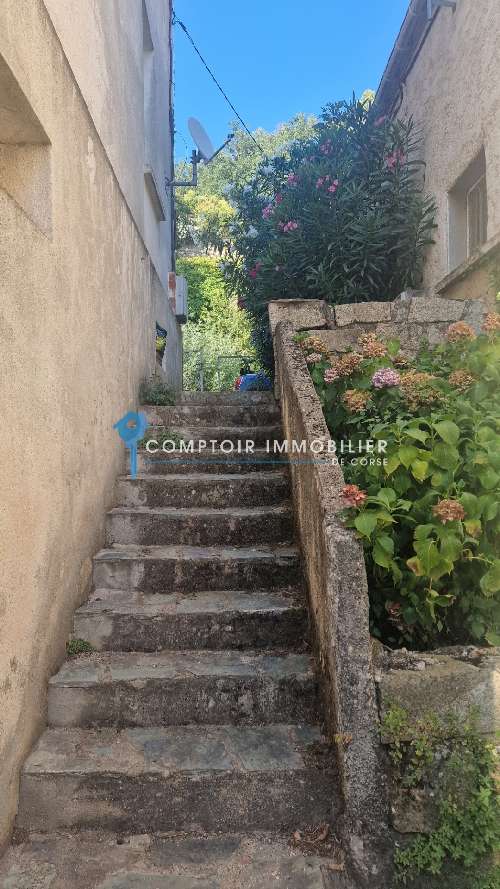  à vendre maison Ghisoni Haute-Corse 4