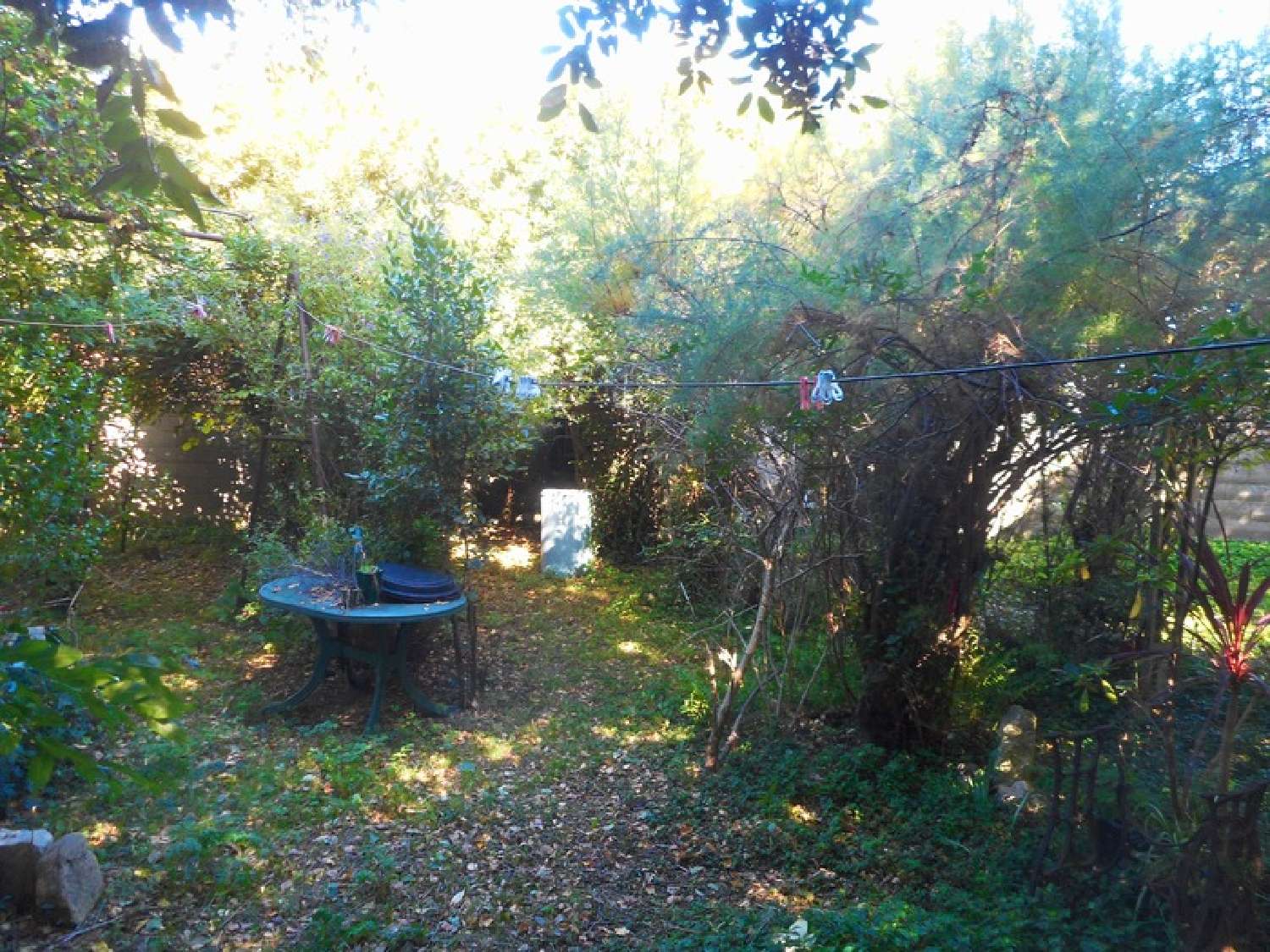  kaufen Haus La Brée-les-Bains Charente-Maritime 5