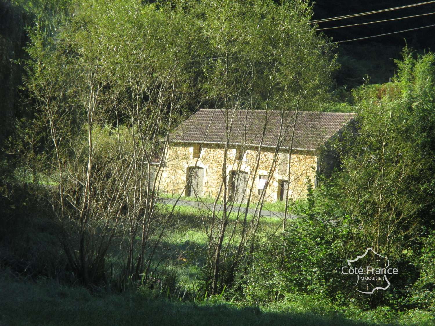  kaufen Haus Marquay Dordogne 8