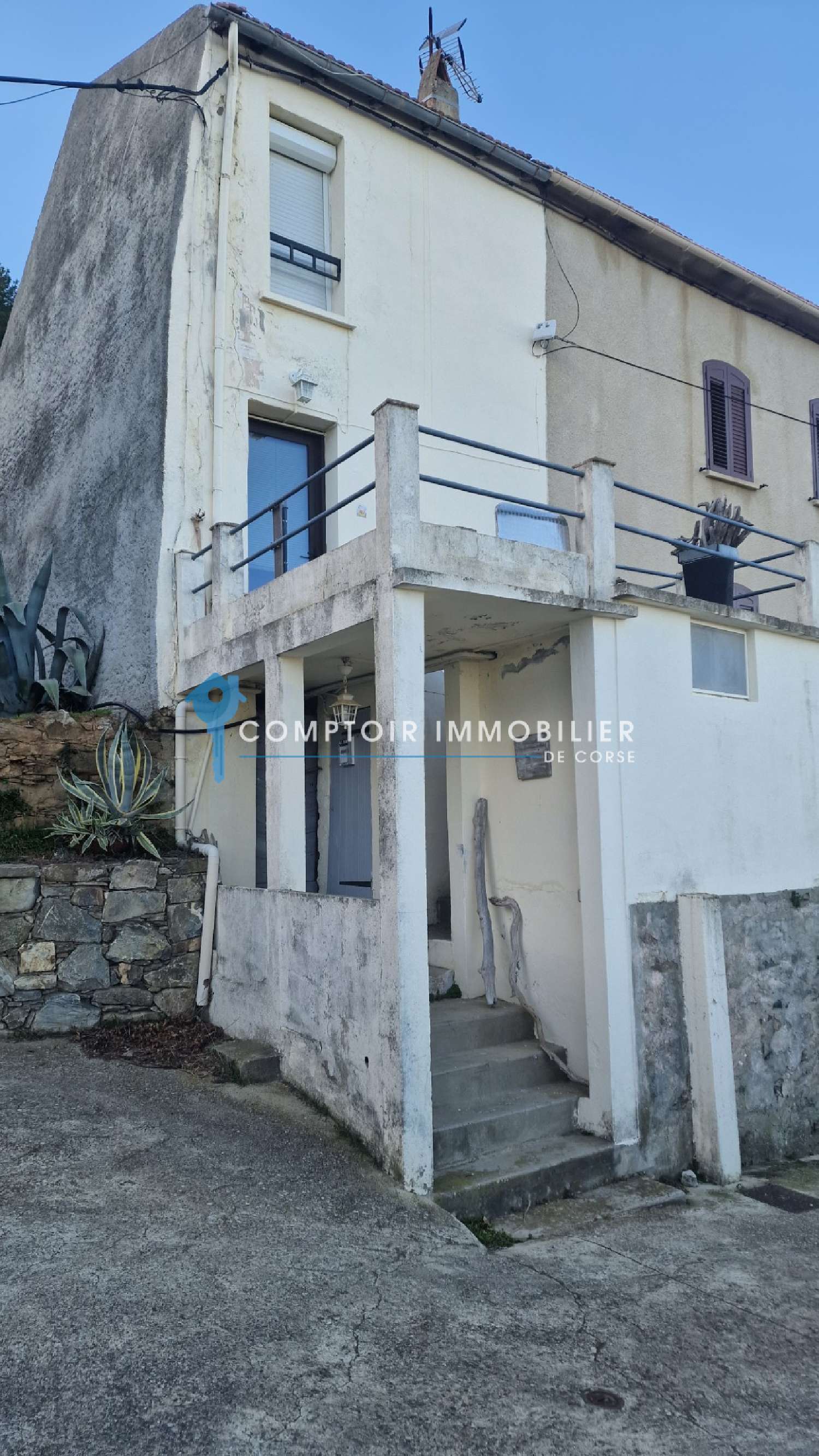  kaufen Haus Pietroso Haute-Corse 2