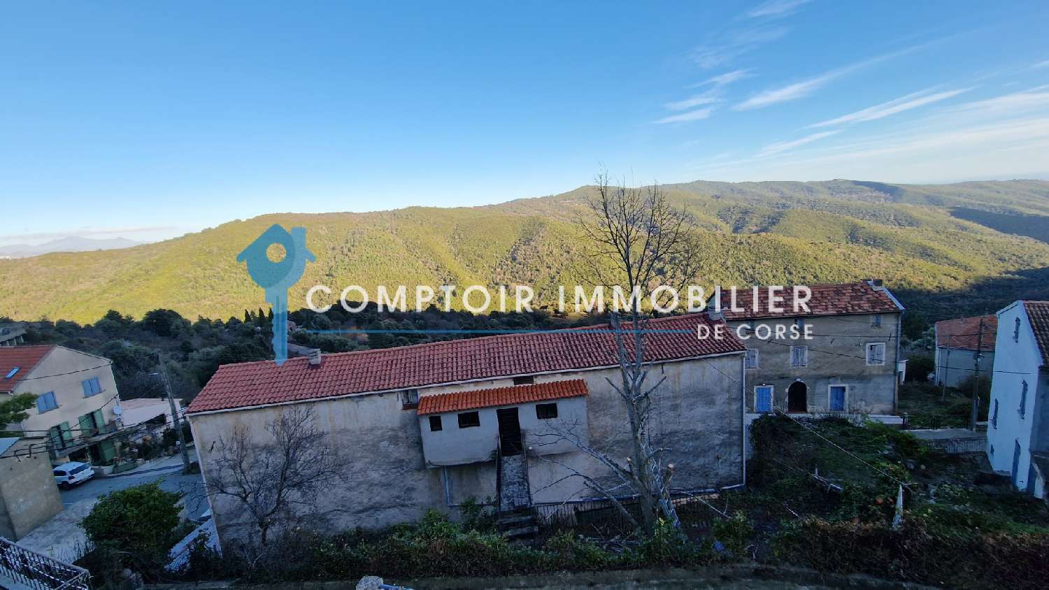  kaufen Haus Pietroso Haute-Corse 6