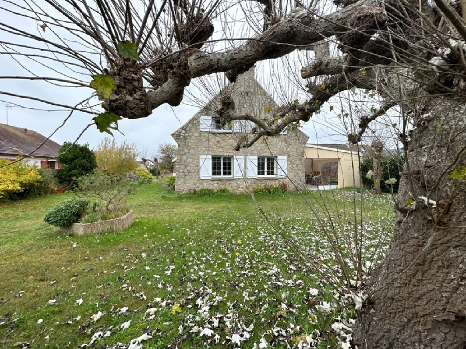  kaufen Haus Saint-Germain-sur-Ay Manche 2