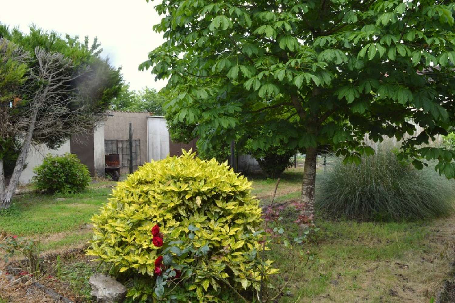  kaufen Haus Saint-Vallier Saône-et-Loire 2