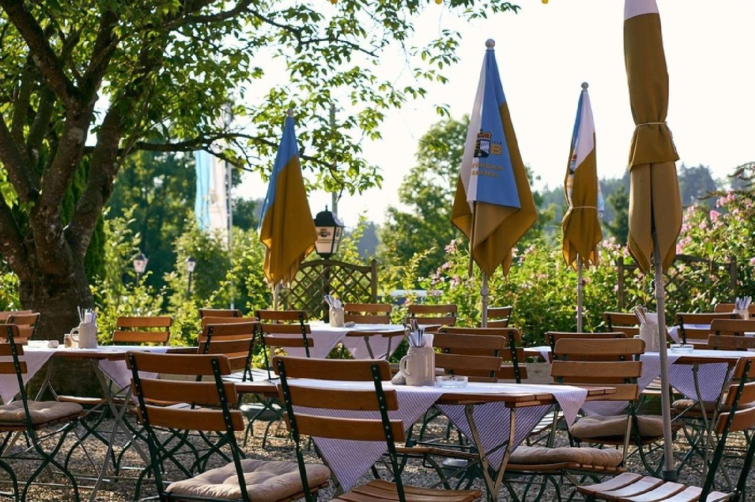  kaufen Restaurant Lozanne Rhône 1