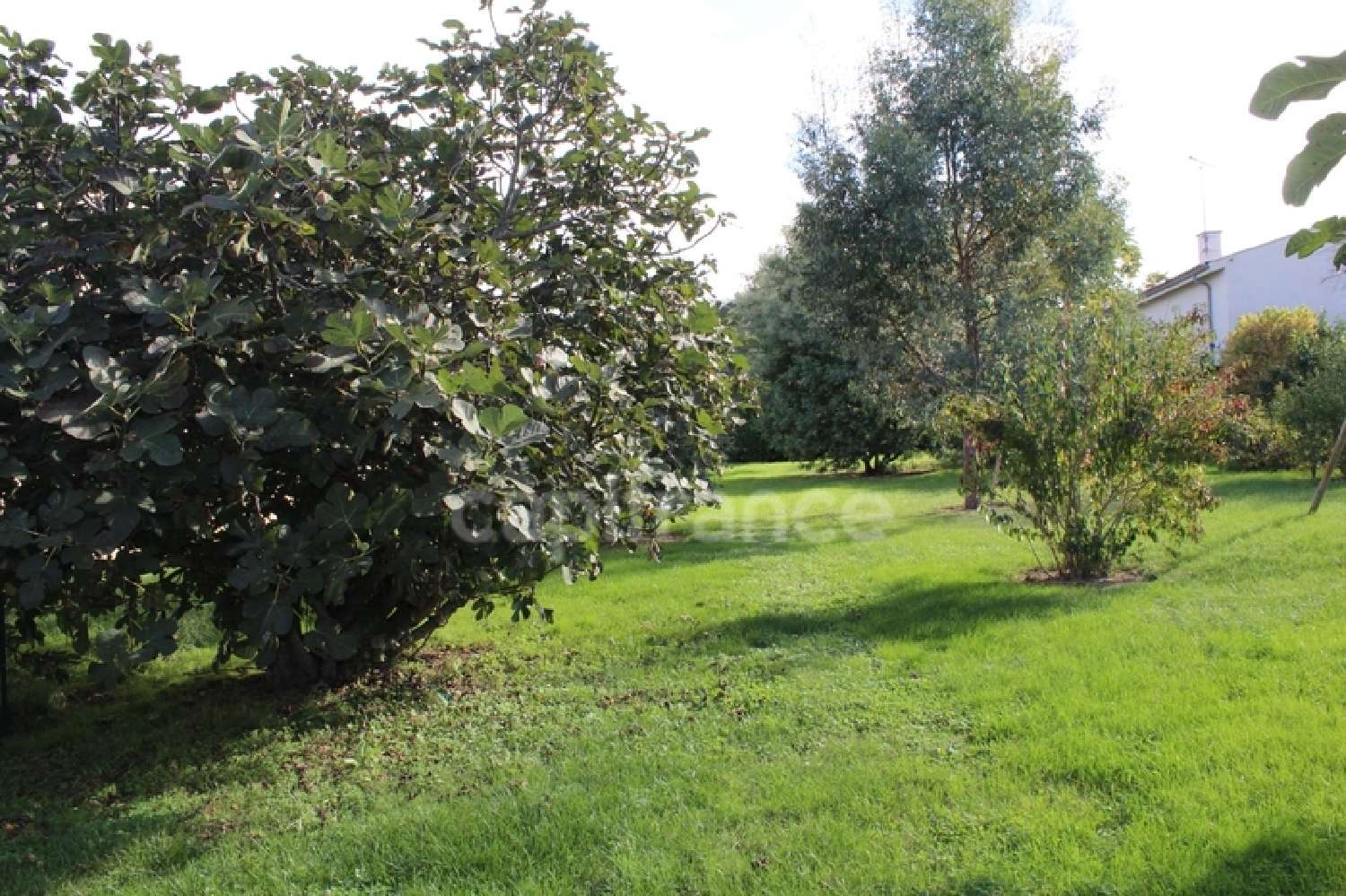  en venta terreno Castagnac Haute-Garonne 1