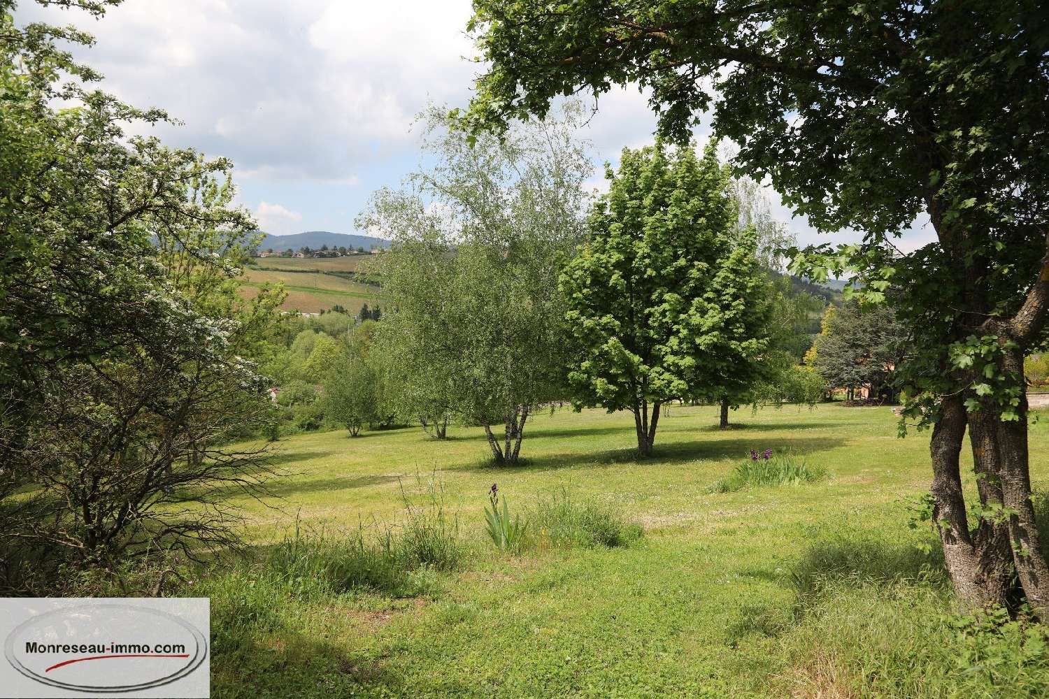  kaufen Grundstück La Roche-Vineuse Saône-et-Loire 1