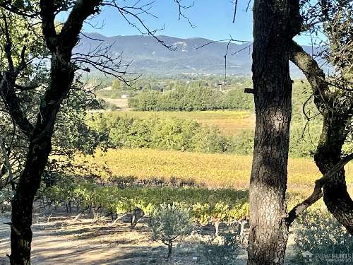 te koop wijngaard Villelaure Vaucluse 3