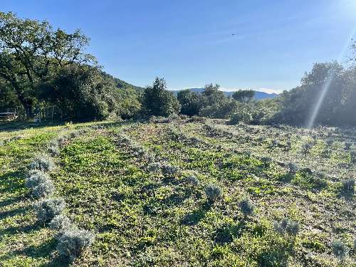 te koop wijngaard Villelaure Vaucluse 5