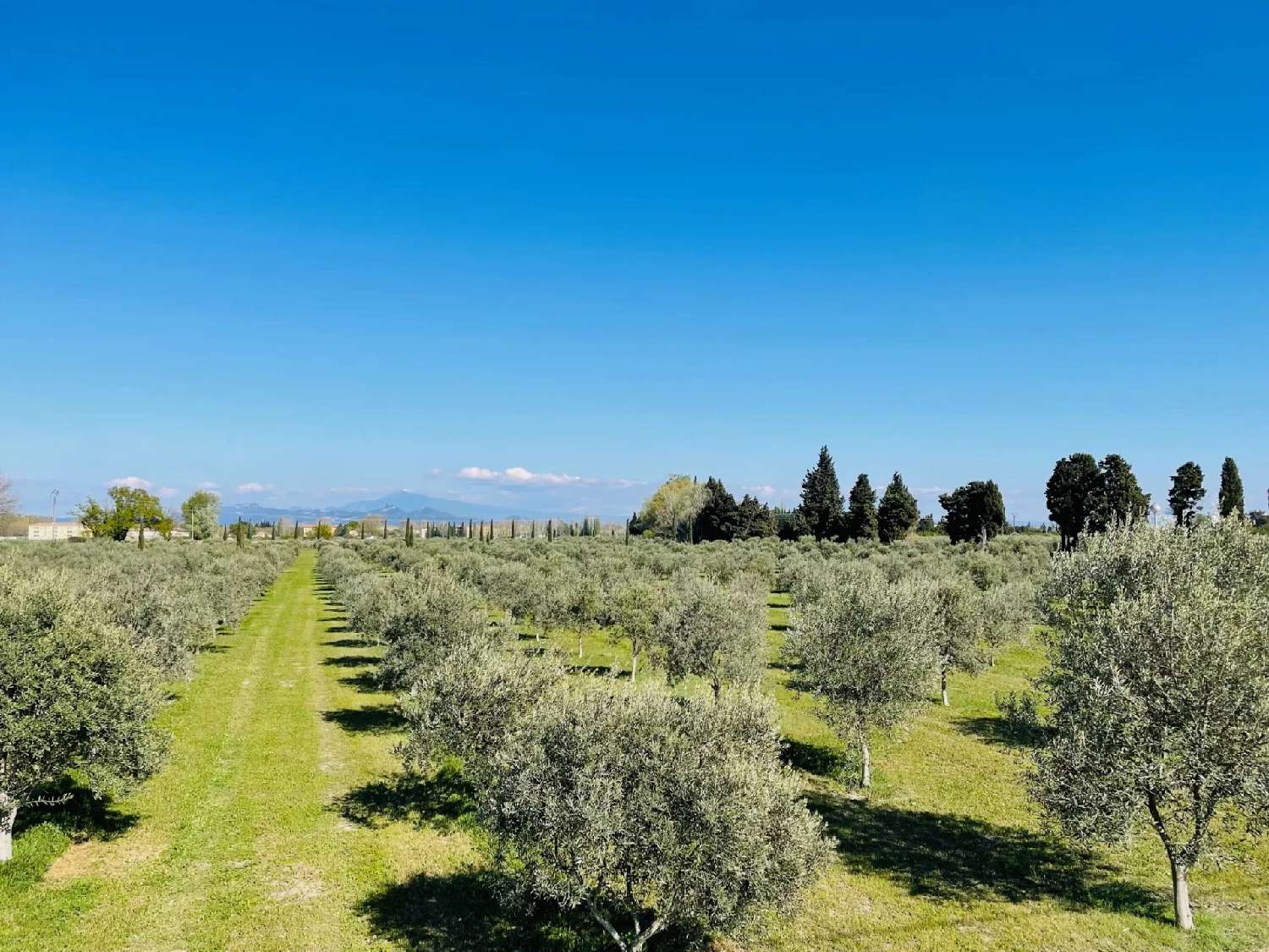  kaufen Landgut Draguignan Var 2