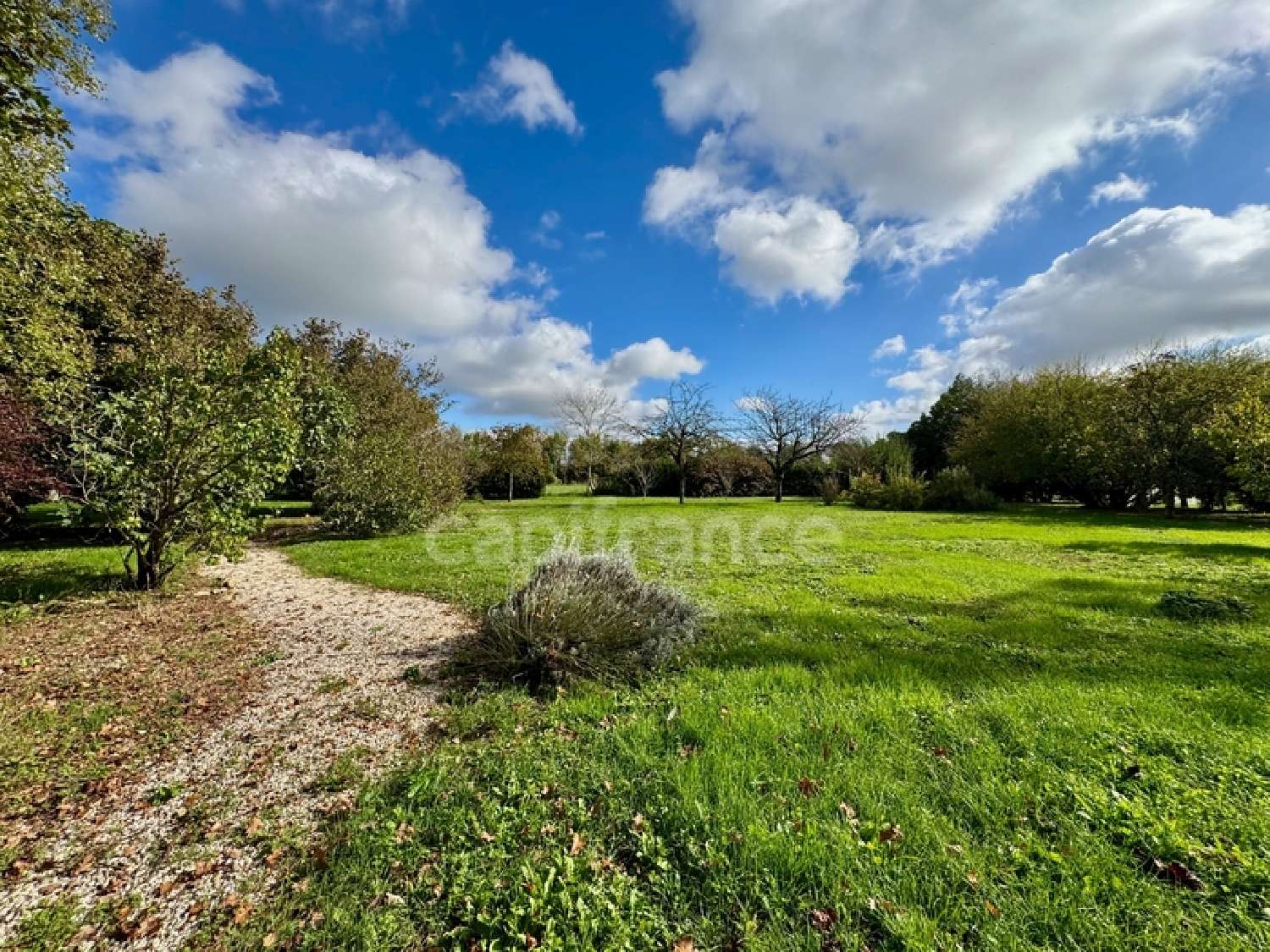  kaufen Haus Aigrefeuille-d'Aunis Charente-Maritime 4