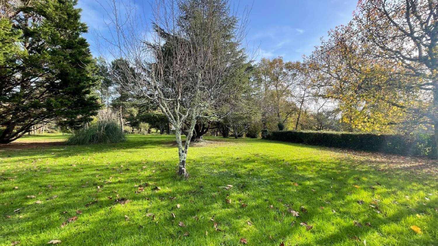  kaufen Haus Bergerac Dordogne 4