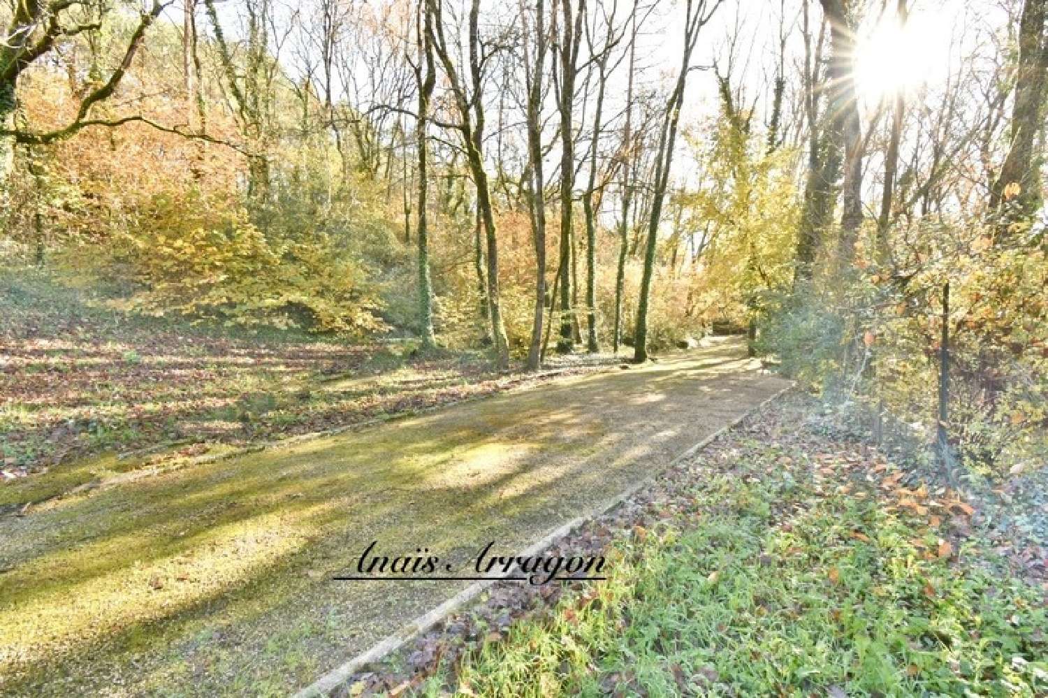  kaufen Haus Montayral Lot-et-Garonne 5