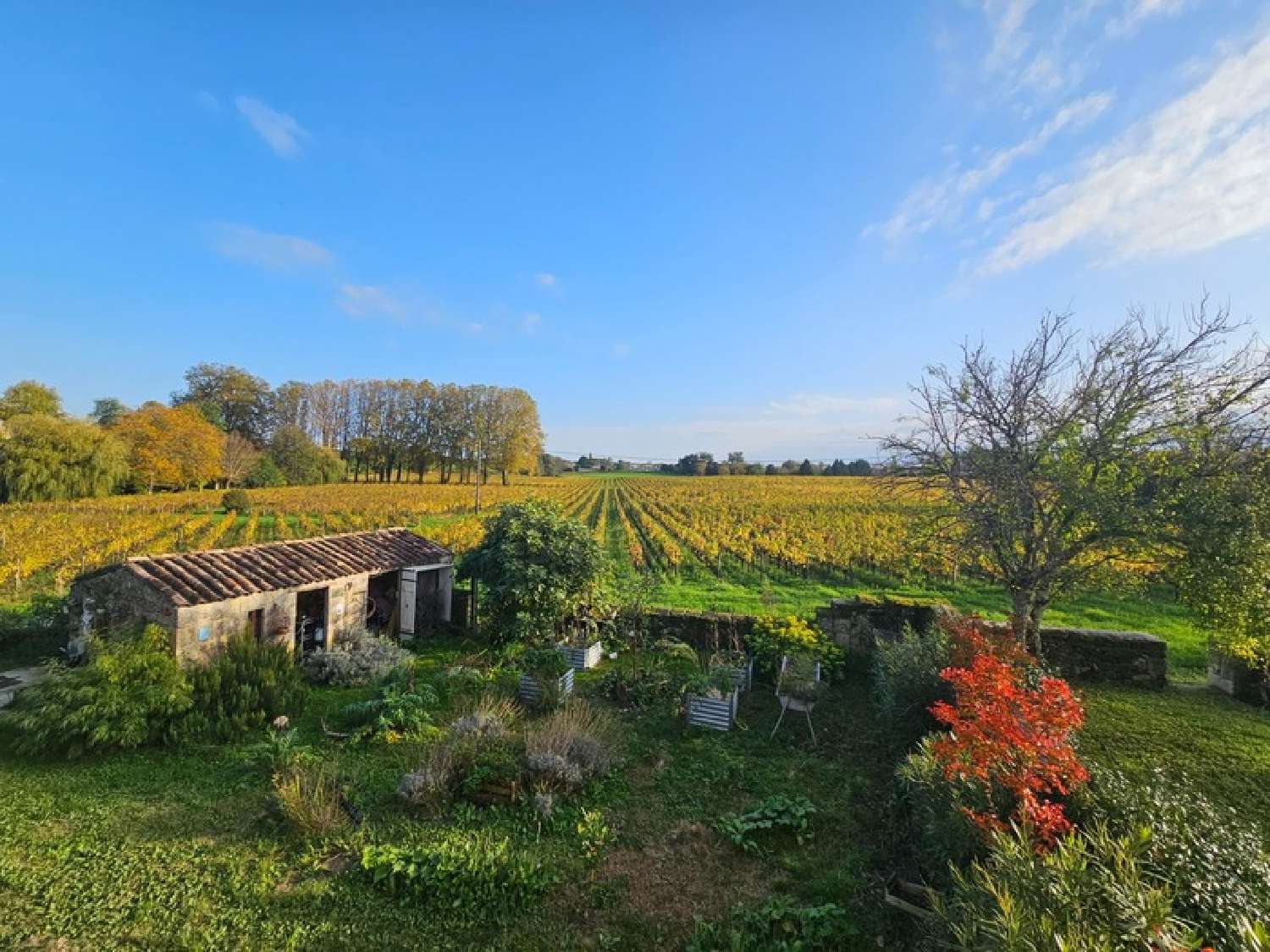  kaufen Haus Saint-André-de-Cubzac Gironde 7