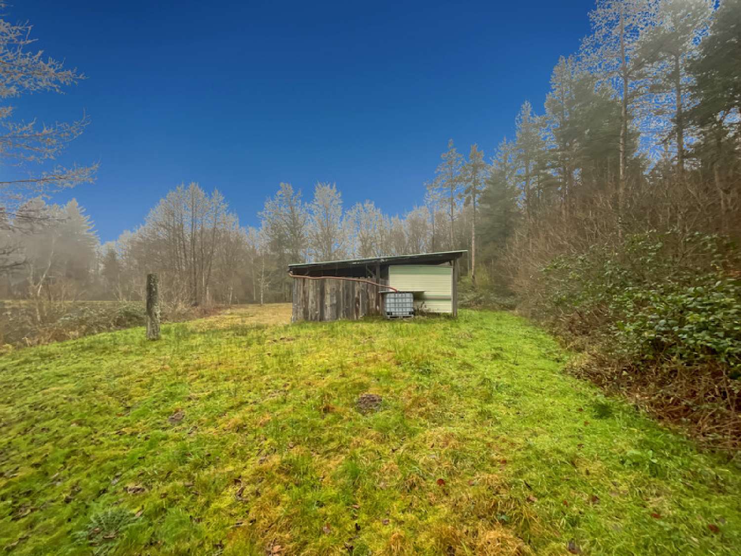  kaufen Haus Saint-Brisson Nièvre 6
