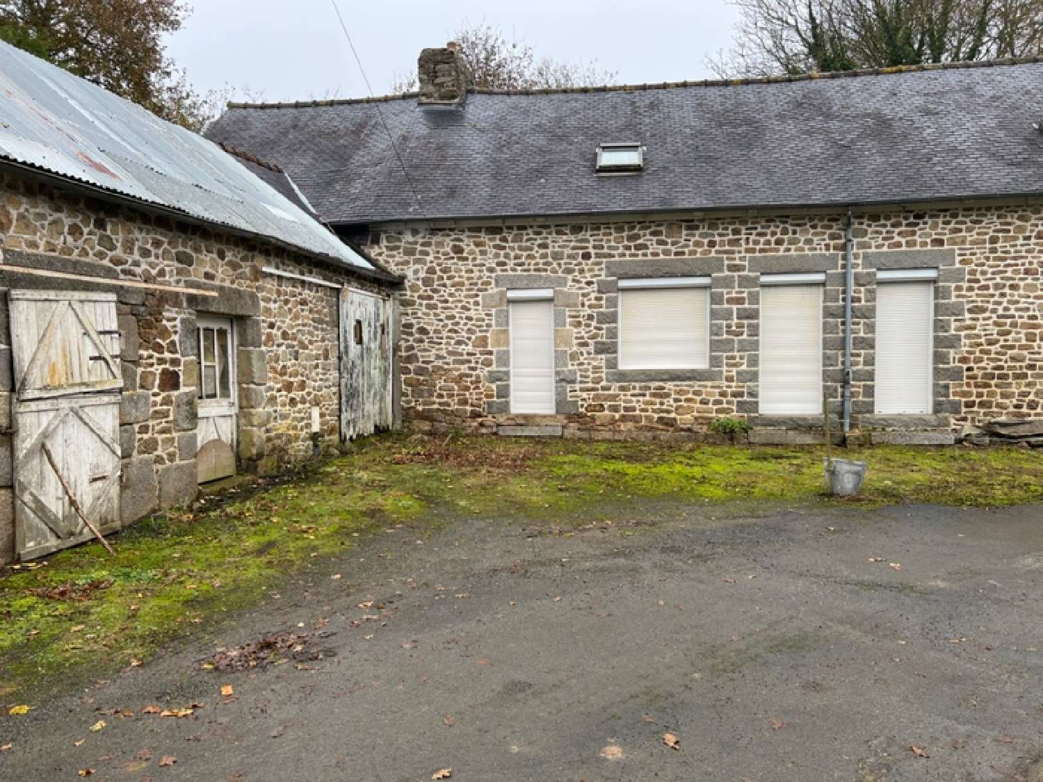  kaufen Haus Saint-Carreuc Côtes-d'Armor 1