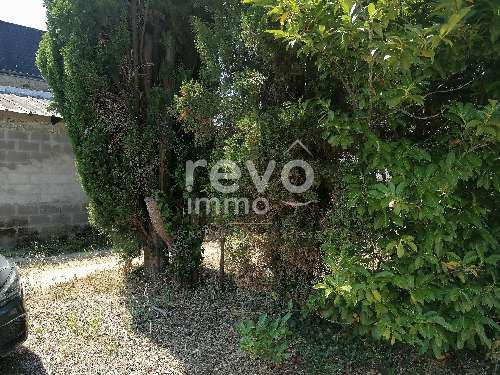  à vendre maison Mozé-sur-Louet Maine-et-Loire 4
